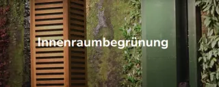 Webseite: Innenraumbegrünung