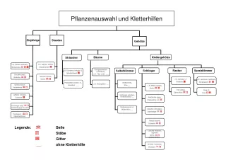 Broschuere: Pflanzen zur bodengebundenen Begrünung: nach Kletterhilfen