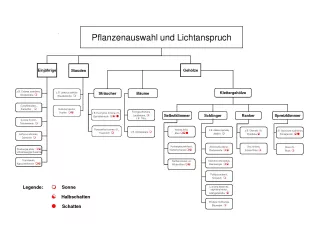 Broschuere: Pflanzen zur bodengebundenen Begrünung: nach Lichtansprüchen