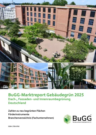Broschuere: BuGG-Marktreport GebäudeGrün 2025