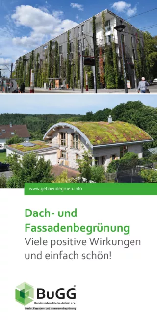 Flyer: Dach- und Fassadenbegrünung (Flyer)