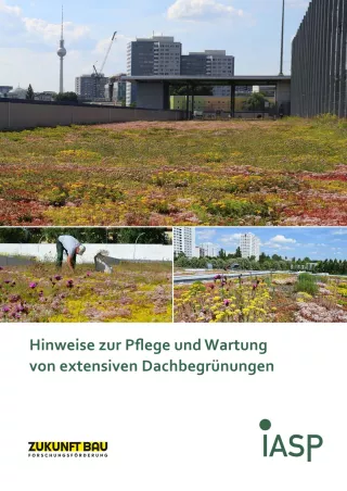 Broschuere: Hinweise zur Pflege und Wartung von extensiven Dachbegrünungen