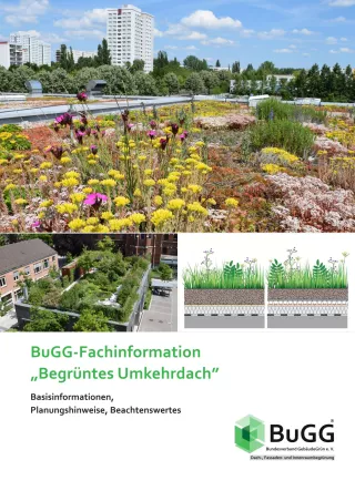 Broschuere: BuGG-Fachinformation: Begrüntes Umkehrdach