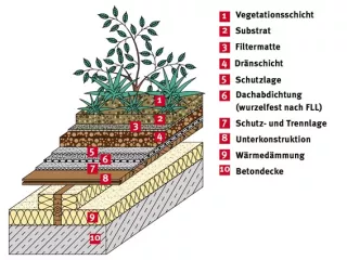 Webseite: Planungshinweise Dachbegrünung