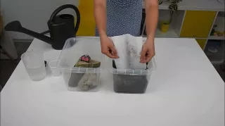 Entdeckendes: Wie Regen versickert | Experiment