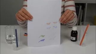 Entdeckendes: Dried Markers | Experiment