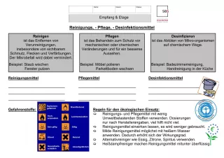 Unterrichtsbaustein: 8.1 Reinigungs-, Pflege- und Desinfektionsmittel für Empfang und Etage (Lösung)
