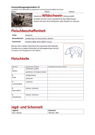 Unterrichtsbaustein: 12.1 Steckbrief Wildschwein (Lösung)