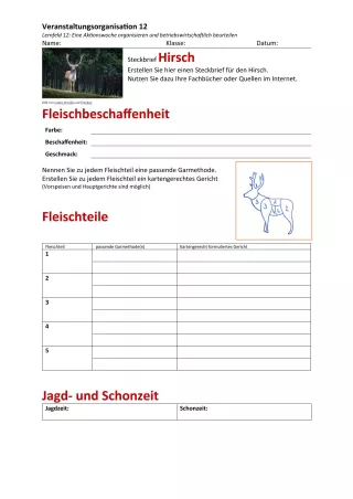 Unterrichtsbaustein: 12.1 Steckbrief Hirsch