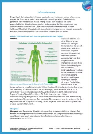 Merkblatt: Modul 5 | Physische Gesundheit - Luftverschmutzung, Überflutung, Klimagerechtigkeit | Fakten "Luftverschmutzung"