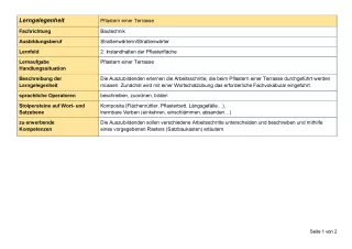 Unterrichtsplanung: Pflastern einer Terrasse - Lerngelegenheit (Word)