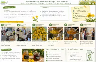 Rezept: DIY: Honig & Gelee aus Löwenzahn herstellen