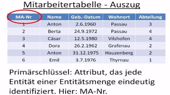 pflanztopf nora Strahlenaralie 'Nora' kaufen main image 1
