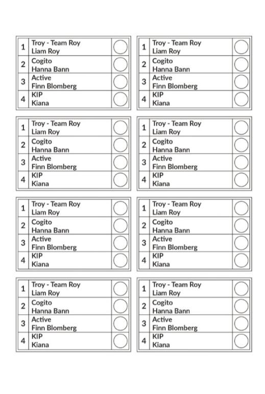 Kopiervorlage Stimmzettel