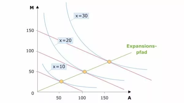 Video: Volkswirtschaftslehre - Herleitung des optimalen Expansionspfades