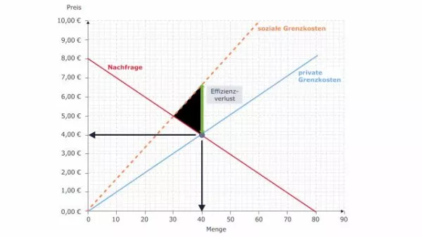 Video: Volkswirtschaftslehre - Ineffizientes Marktergebnis bei negativen externen Effekten