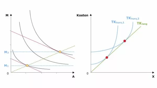 Video: Volkswirtschaftslehre - Kurzfristige und langfristige Kostenkurven