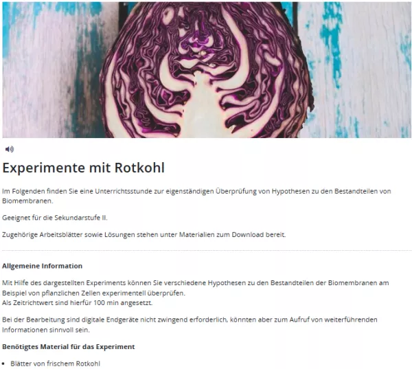 Unterrichtsbaustein: Experimente mit Rotkohl