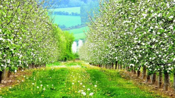 Video: Die Schilderung