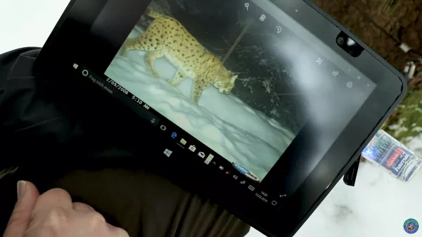Video: Unterwegs im Luchsrevier: Fotofalle