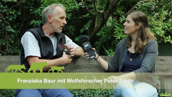 Video: Interview mit Wolfsforscher Peter Sürth