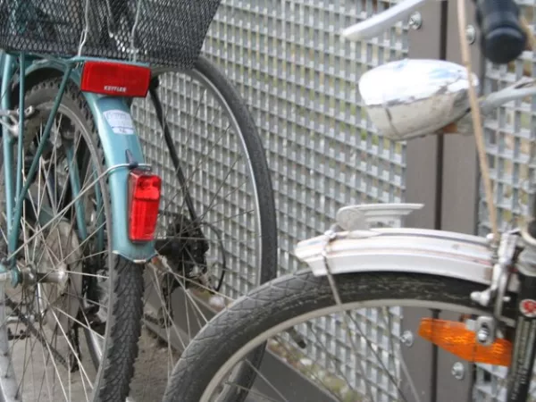 Arbeitsblatt: Alles so schön bunt…?!