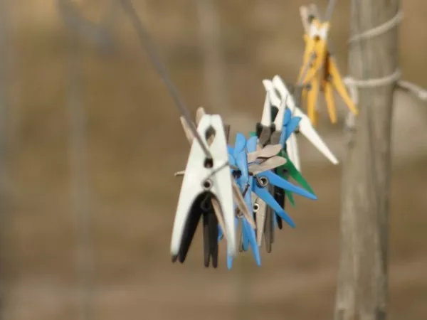 Arbeitsblatt: ANNA - Das vernetzte Leben