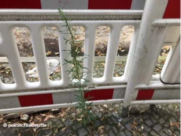 Arbeitsblatt: Bilder von der Digitalisierung