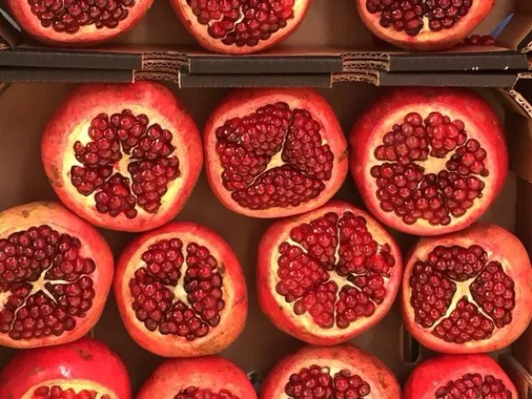 Arbeitsblatt: Demokratie und Menschenrechte