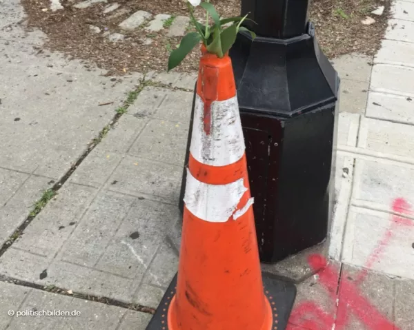 Arbeitsblatt: Den Kreislauf durchbrechen
