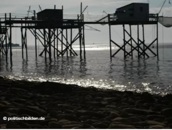 Arbeitsblatt: Das digitale Selbst