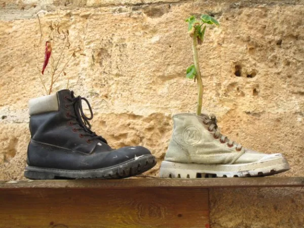 Arbeitsblatt: Zukunftsszenarien: Die Welt im Jahr 2050