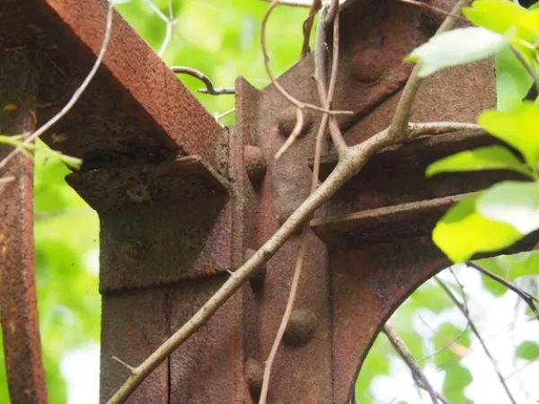 Arbeitsblatt: Ich packe meinen Koffer ...