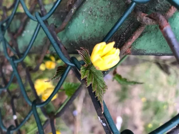 Arbeitsblatt: Kleine Große Schritte - Umgang mit Ausgrenzung und Extremismus erproben