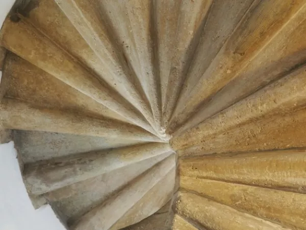 Arbeitsblatt: Spuren suchen