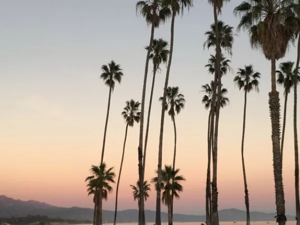 Arbeitsblatt: Umweltaspekte der Digitalisierung