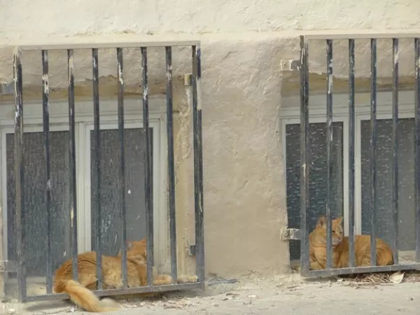 Arbeitsblatt: Das Wissen über die Anderen - Fremdzuschreibungen im Kontext von Religion