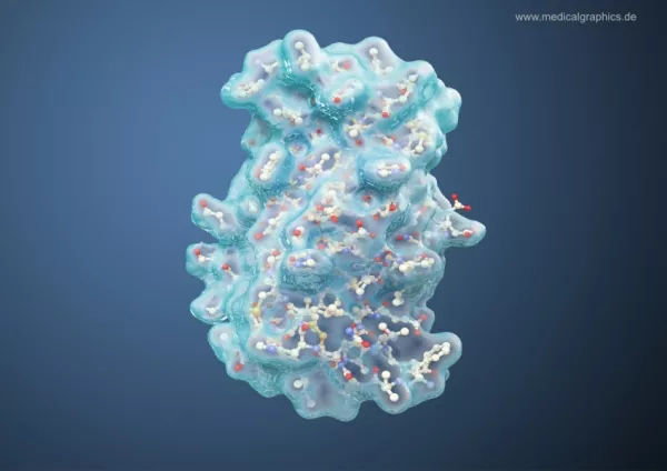 Bild: Insulin Molekül