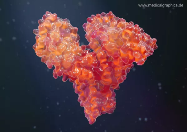 Bild: Humanalbumin