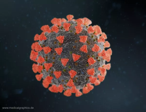 Bild: Coronavirus Elektronenmikroskop