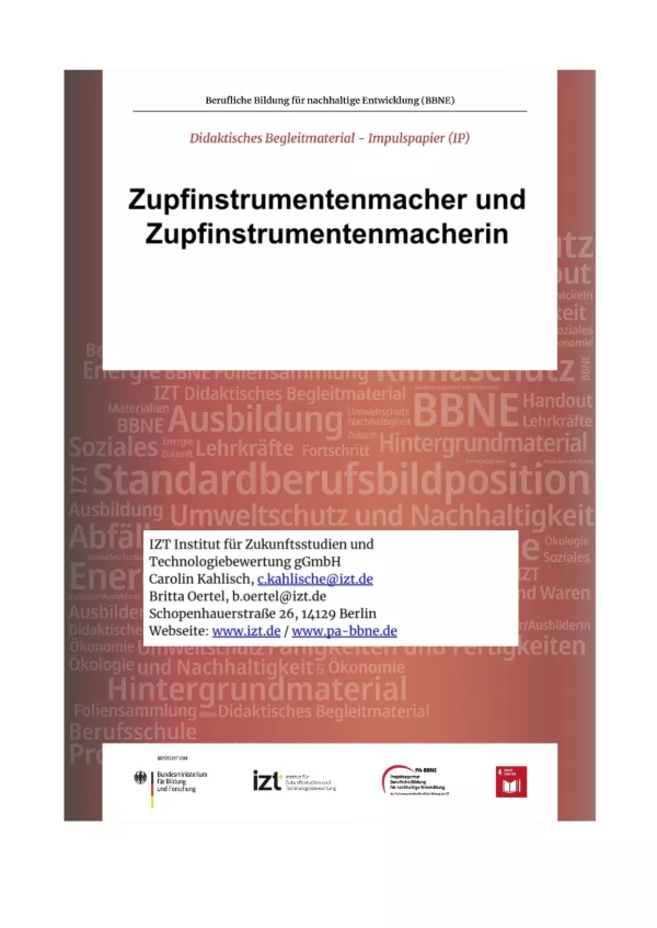 Unterrichtsbaustein: BBNE für Zupfinstrumentenmacher/innen - Impulspapier