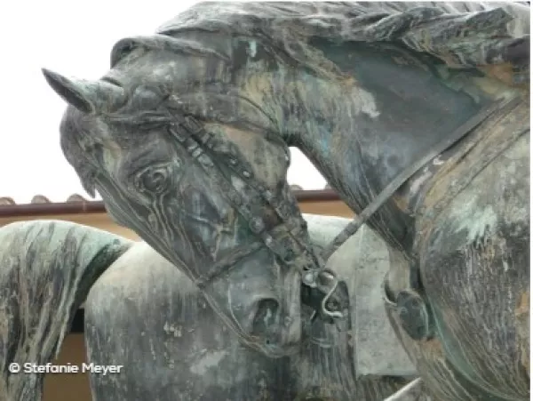 Arbeitsblatt: Desintegration. Auf den Spuren des Kolonialismus - Handreichung