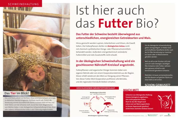 Text: Schautafel ökologische Schweinehaltung: Fütterung