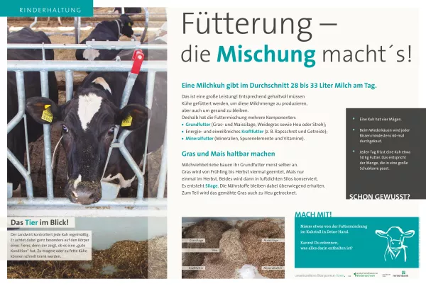 Text: Schautafel Milchkuhhaltung: Fütterung