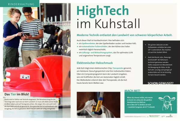 Text: Schautafel Milchkuhhaltung: Stalltechnik