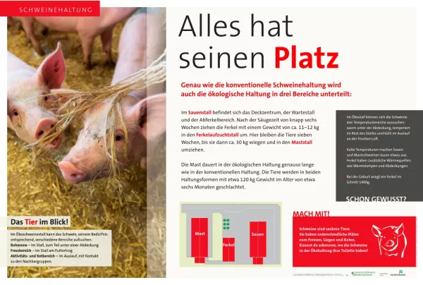 Text: Schautafel ökologische Schweinehaltung: Stallbereiche