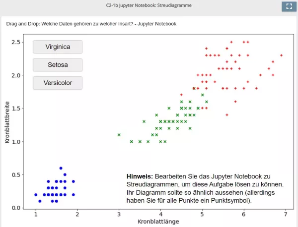 Lernspiel: C2-1 Drag and Drop: Welche Daten gehören zu welcher Irisart? (Quiz zum Jupyter Notebook)