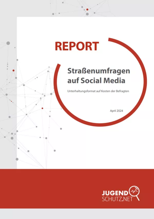 Broschuere: Report: Straßenumfragen auf Social Media
