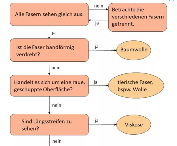 Arbeitsblatt: Mikroskopische Analyse von Textilfasern