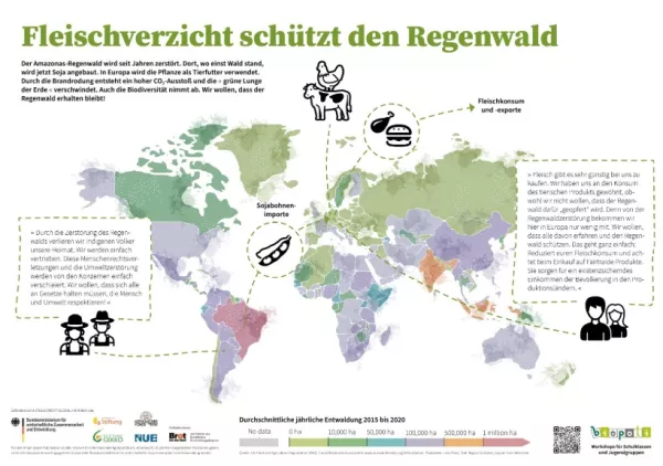 Veranschaulichung: Biopoli Poster: Fleischverzicht schützt den Regenwald